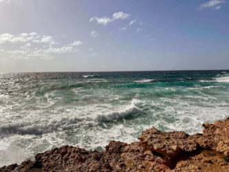 Cyprus, Paphos - The view