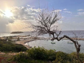 Cyprus, Peyia - St George's Harbour