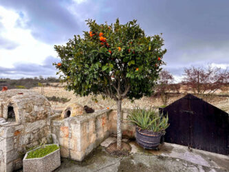 Paphos, Kathikas - Sterna Winery & Wine Museum