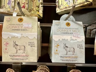 Cyprus, Paphos - Donkey Milk
