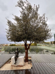Cyprus, Paphos - Old Town