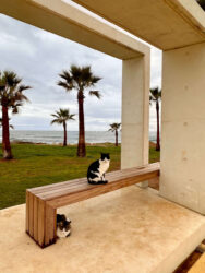 Cyprus, Paphos - Paphos Promenade