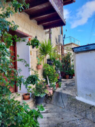 Cyprus, Omodos - Traditional Cypriot village