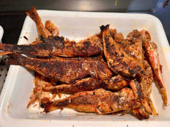 Tunisia, Djerba - Fried fish