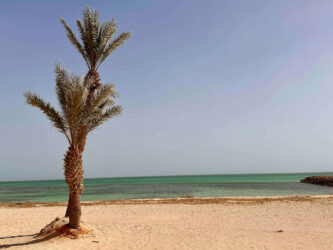 Tunisia, Djerba - Midoun Beach