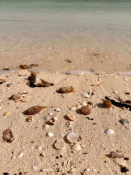 Tunisia, Djerba - Midoun Beach
