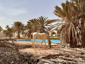Tunisia, Djerba - Midoun