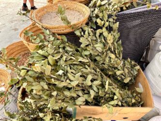 Tunisia, Djerba - Spice Bazaar in Medina of Houmt Souk