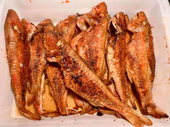 Tunisia, Djerba - Fried fish