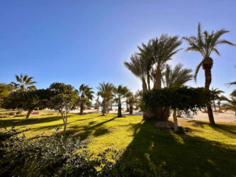 Tunisia, Djerba - Morning