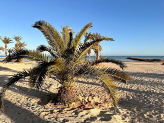 Tunisia, Djerba - Midoun beach
