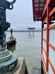 Japan, Miyajima - 'floating' Torii gate at Itsukushima Shrine