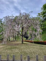 Japan, Kanazawa - Kanazawa Castle Park