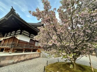 Japan, Kanazawa - Oyama Jinja Shrine