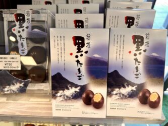 Japan, Hakone - Black Eggs of Owakudani