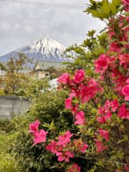 Japan, Gotemba - Mt. Fuji