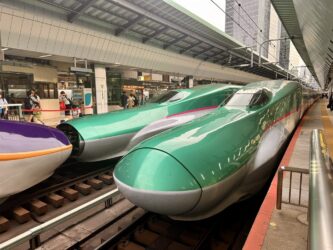Japan, Tokyo - Hayabusa Shinkansen train