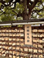 Japan, Tokyo - Meiji Shrine