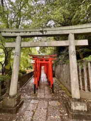 Japan, Tokyo - Nezu Shrine