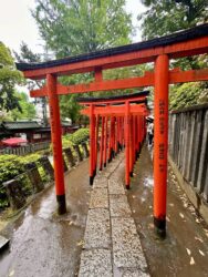 Japan, Tokyo - Nezu-jinja – chram shintō, Nezu Shrine