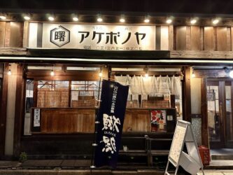 Japan, Tokyo - Omoide Yokocho (Memory Alley)