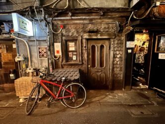 Japan, Tokyo - Omoide Yokocho (Piss Alley)