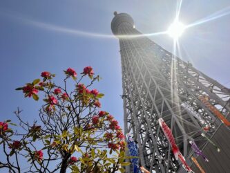 Japan, Tokyo - Tokyo Tree tower