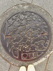 Japan, Tokyo - Manhole cover