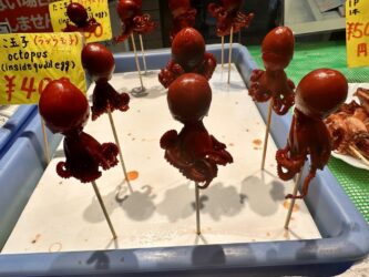 Japan, Kyoto - Nishiki Market