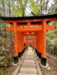 Japan, Kyoto - Fushimi Inari-Taisha
