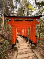 Japan, Kyoto - Fushimi Inari-Taisha