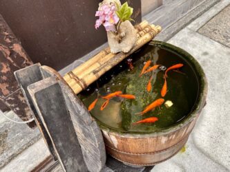Japan, Kyoto - Gion district