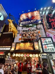 Japan, Osaka - Dotonbori