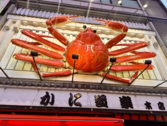 Japan, Osaka - Dotonbori