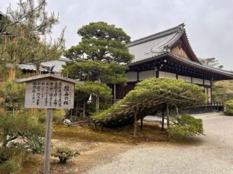 Japan, Kyoto - Golden Pavilion, Kinkaku-ji