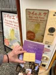 Japan, Kyoto - Nijo-jo Castle carp food