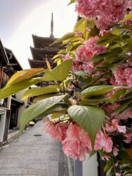 Japan, Kyoto - Yasaka Pagoda