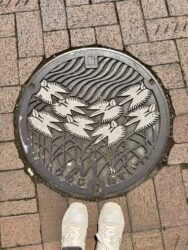 Japan, Himeji - Manhole cover