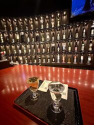 Japan, Himeji - Sake Tasting in Nihonshu Bar Kokoromi
