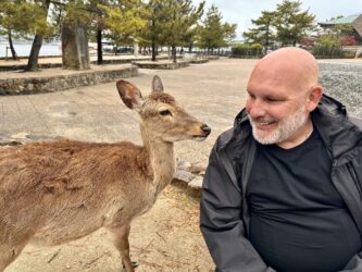 Japan, Miyajima - Deer