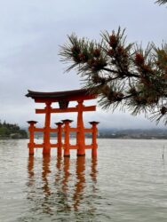 Japan, Miyajima - 'floating' Torii gate at Itsukushima Shrine