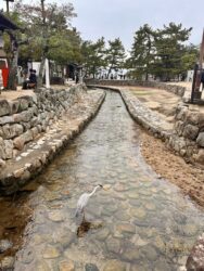 Japan, Miyajima - The island