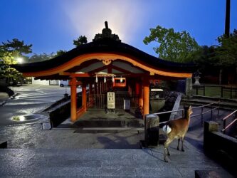 Japan, Miyajima - The island