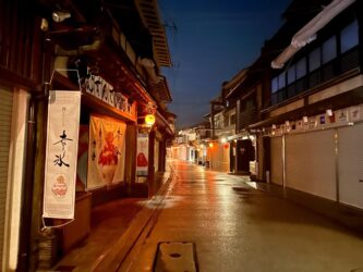 Japan, Miyajima - Evening in town