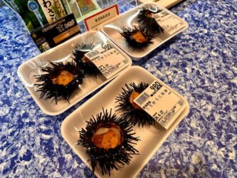 Japan, Kanazawa - Omicho Market