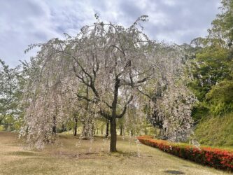 Japan, Kanazawa - Kenroku-en Park