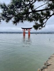 Japan, Miyajima - 'floating' Torii gate at Itsukushima Shrine