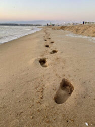 Bulgaria, Sunny Beach - Beach