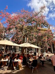 Canary Islands, Tenerife, Santa Cruz - The town