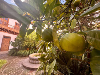 Canary Islands, Tenerife, Santa Cruz - Palacio de Salazar